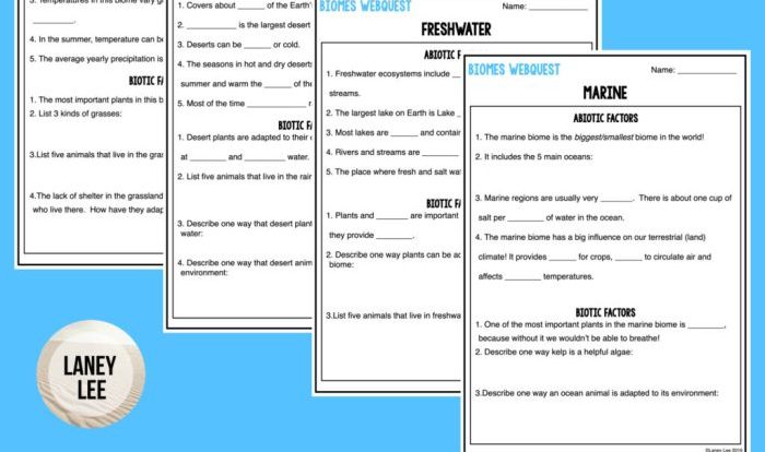 New years webquest answer key