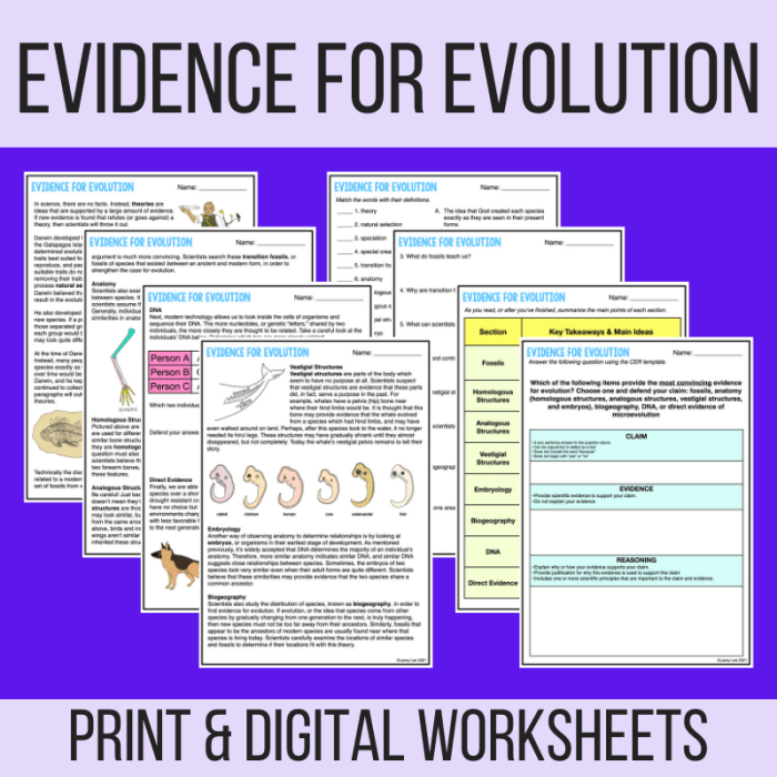 Forces of evolution worksheet answers