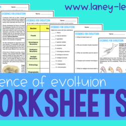 Forces of evolution worksheet answers