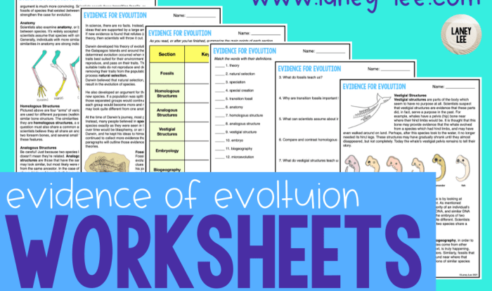 Forces of evolution worksheet answers