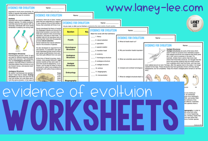 Forces of evolution worksheet answers