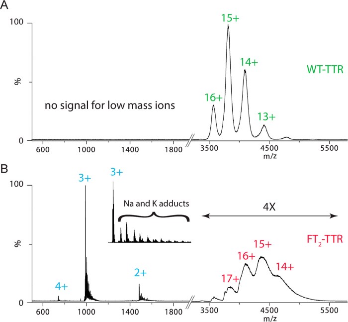 Populations evolution