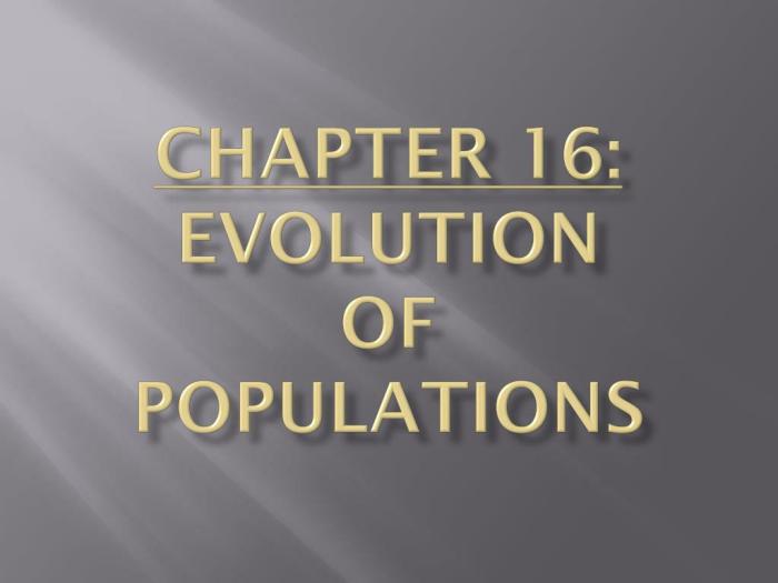 Chapter 16 evolution of populations answer key