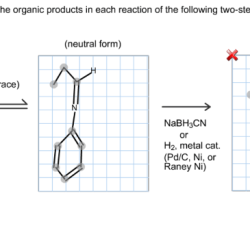 Draw the organic product of each step in the synthesis